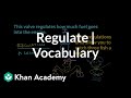 Understanding the Word 'Regulate'