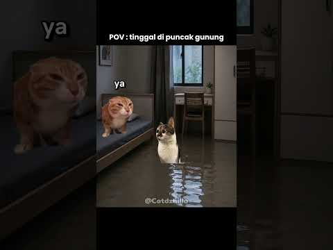 KIAMAT!! #memes #catmeme #jokes #ngakak #banjir #lucu #funny #relatable #truestory #foryou #shorts