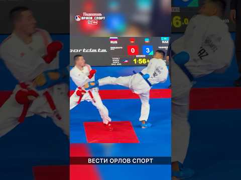 Виртуозная техника карате WKF