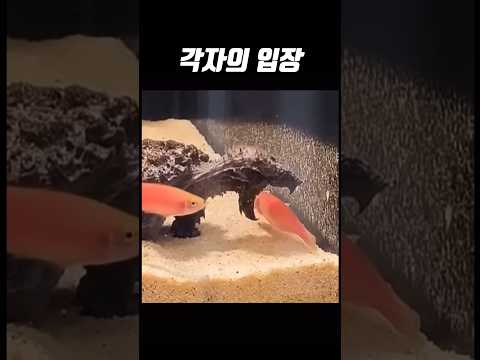 각자의 입장🔥🔥#2편