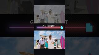 Fix your LUT workflow in 90 seconds