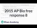 B Cell Function and Immune Response