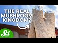 Innovative Eco-Friendly Building Materials