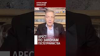 Ареста не случилось, но не случилось и триумфа #невзоров