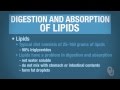 Lipid Digestion and Absorption Concepts