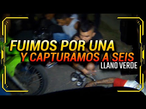 LLEGAMOS HASTA EL NIDO DE LAS R@TAS...