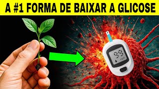 A #1 ÚNICA FORMA de BAIXAR o AÇÚCAR no SANGUE e a GLICADA: 14 DICAS para CONTROLAR DIABETES
