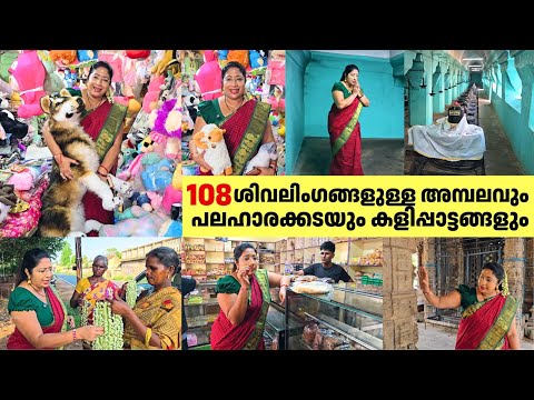 108 ശിവലിംഗങ്ങളുള്ള അമ്പലവും പലഹാരക്കടയും കളിപ്പാട്ടങ്ങളും | Kumbakonam Travel Vlog