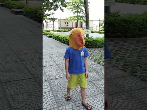 Chú chó tốt - Good dog #shorts