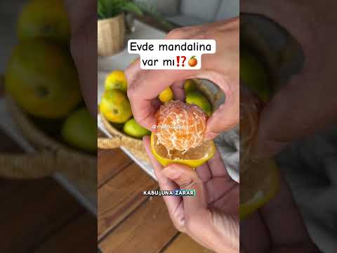 Kokusu efsooo #aboneolmayiunutmayin #fikirolsun #mandalindanmum #mandalina