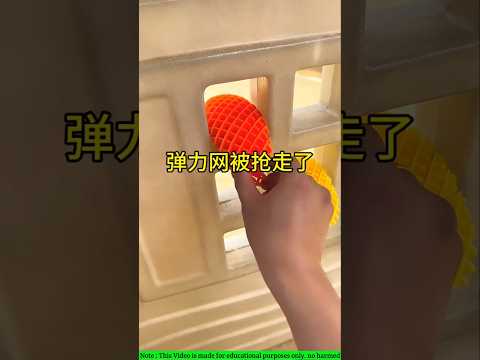 🪲