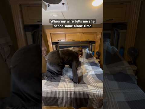 By alone you mean with me right…. ? #comedy #marriagehumor #relatable #couplescomedy