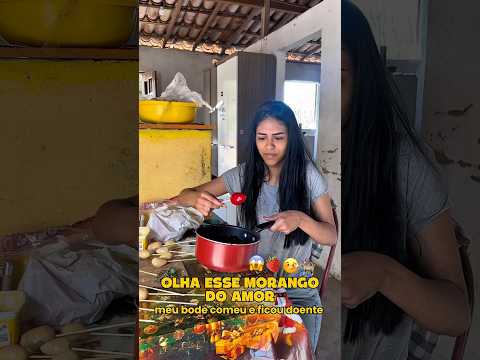 Será que agora prestou ? 🤣🤣🤣 #morango #morangodoamor #humor #sitio #animais