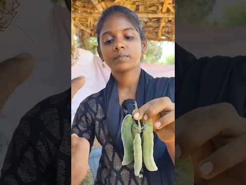 மிக அரிதான பூனை காலி #trending #farming #shorts #village #agriculture #vivasayam #villagelife