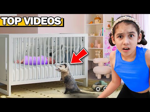 A Wild Opossum Broke Into Our Baby's Room!!