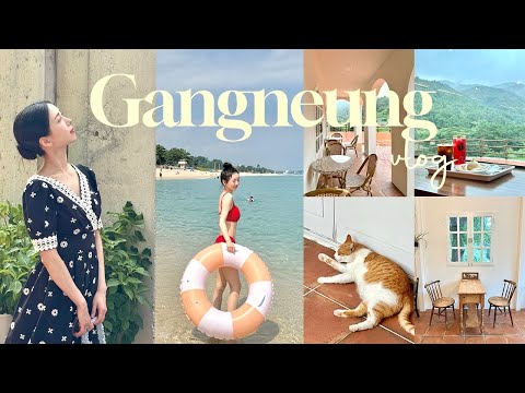 2박 3일 강릉 식도락 여행 VLOG 🌊 강원도 여행, 숙소 추천, 강릉 맛집, 강릉 카페, 소품샵, 중앙시장, 강릉 가볼 만한 곳