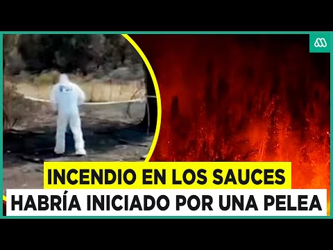 Pelea entre vecinos habría originado fatal incendio en Los Sauces: Fallecieron tres brigadistas