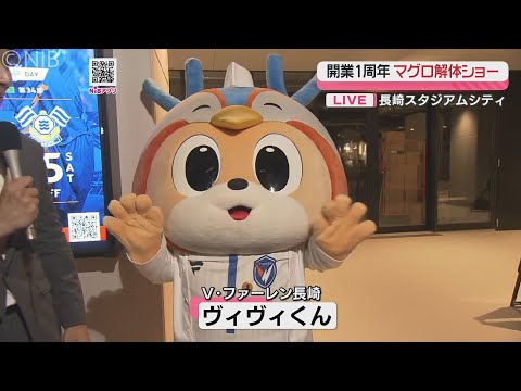 【長崎スタジアムシティ1周年】本マグロ解体ショー&ロイヤルスイート公開!ヴィヴィくんも登場 #長崎