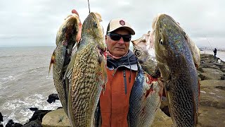 PESCA DE COSTA EN LA NUEVA ESTACIÓN. LAS ESPECIES "VEDETTES" DE ESTA ÉPOCA