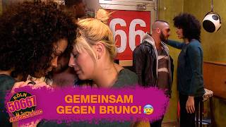 Angst vor Bruno! Meike versteckt sich 😰 | Köln 50667 #K50CLASSIC #315