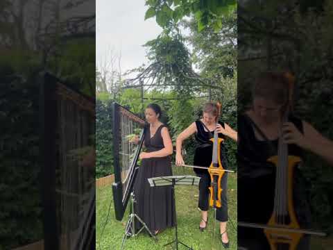 Elisa Sargenti arpista