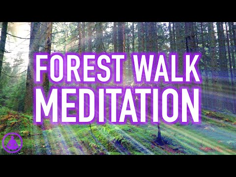 Guided Forest Walk Meditation - Calming and Relaxing Mindfulness Activity