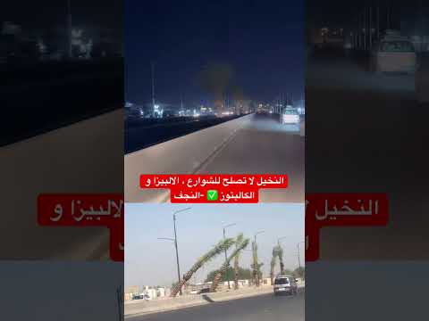 مواطن من النجف يشكو من زراعة النخيل الغالية بدل من الاشجار المعمرة كالالبيزا والكالبتوز #العراق