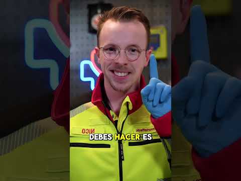 ¿Qué hacer si una lagartija te muerde? ¡No entres en pánico!