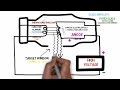 X-Ray System Components and Functions