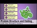 Protein Structure and Function Concepts
