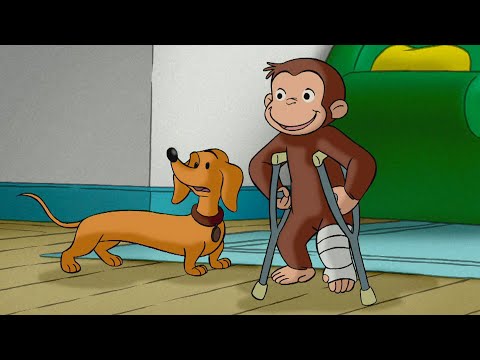 Um Macaco de Muletas 🐵 George, o Curioso 🐵 Desenhos Animados