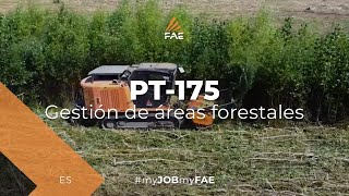 Vídeo - FAE PT-175 - El vehículo con orugas FAE con la trituradora forestal 200/U limpiando el lecho del lago