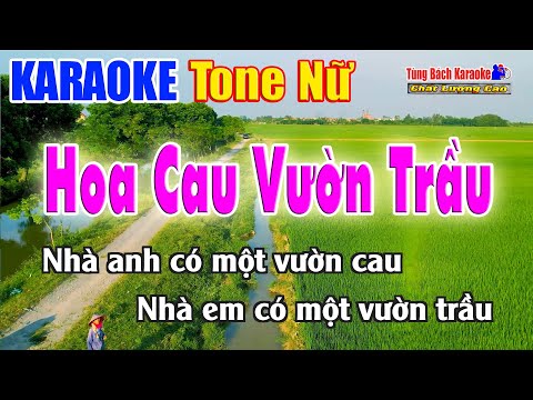 Hoa Cau Vườn Trầu Karaoke Disco ( Tone Nữ ) Nhạc Sống Tùng Bách