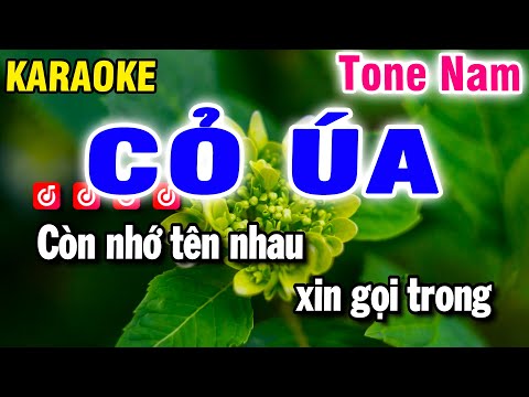 Karaoke Cỏ Úa Nhạc Sống Tone Nam | Beat Bảo Hưng