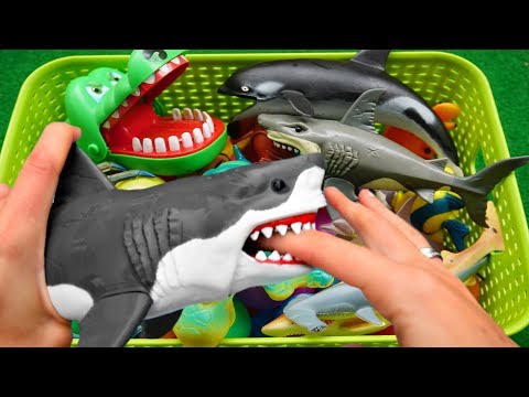 Nome e sons dos animais - Brinquedos animais de plástico - Sons de animais engraçados