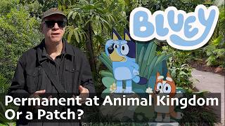 Is Bluey in Disney's Animal Kingdom Permanent or a Patch?