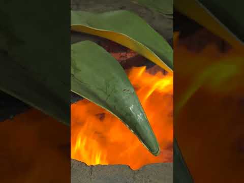 Cómo se preparan 200 kg de barbacoa en México