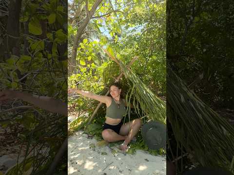 One of my mornings on a wild island 🏝️