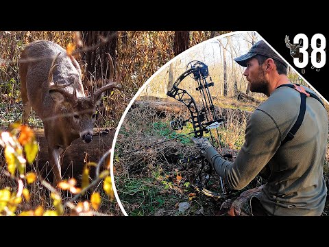 BIG BUCK at 10 yards!!! - (BOW HUNTING the RUT!)