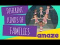 Understanding Families