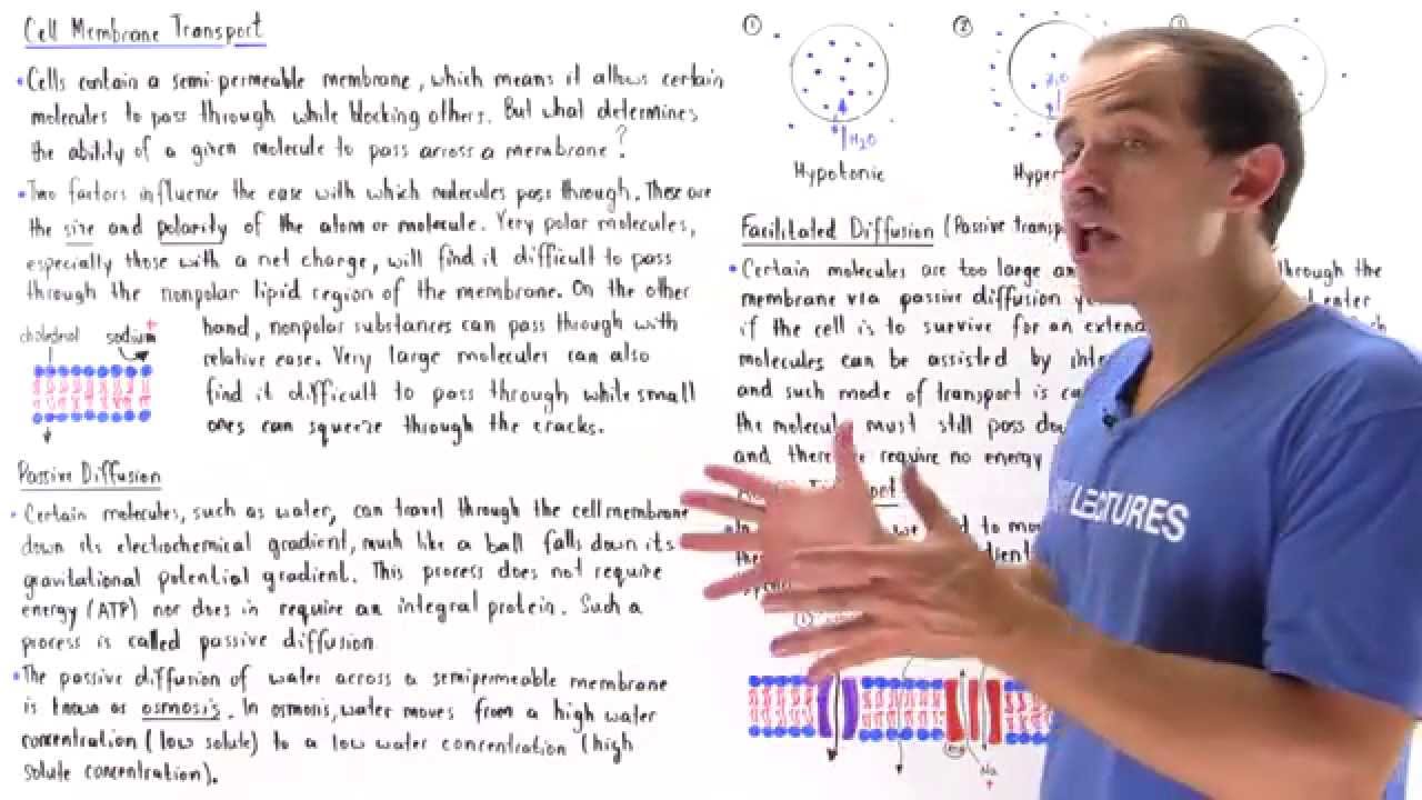 Cell Membrane Transport