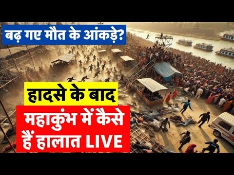 Maha Kumbh Mela 2025 Live: Prayagraj Mahakumbh से लाइव | Kumbh Mela | Basant Panchami | CM Yogi