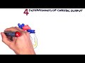 Exploring Cardiac Output and Its Determinants