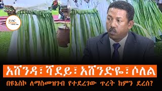 #Ashenda #Shadey #Ashendiye #Solel - በዩኔስኮ ለማስመዝገብ የተደረገው ጥረት ከምን ደረሰ?