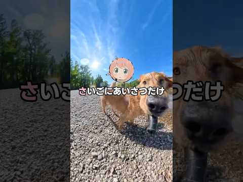 ワイ、アーニャんちからでてけ【2ch面白スレ】