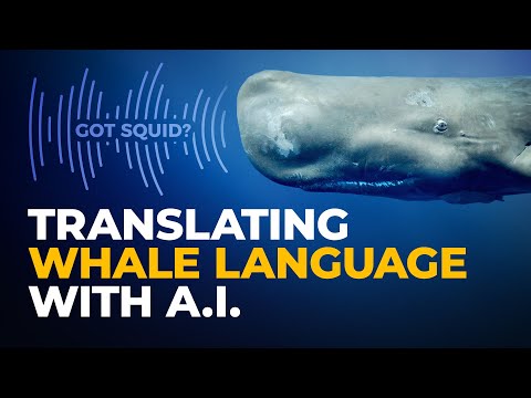 YouTube video thumbnail: Research in Dominica: Could Chat GPT Talk to Whales?
