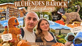 WELTGRÖßTE KÜRBISAUSSTELLUNG 2026 🎃🌍
