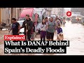 Impact and Formation of Dana
