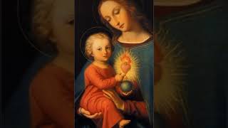 MARIA MÃE DA IGREJA, ROGAI POR NÓS 🙏#shorts #catolicosdeverdade #missa #avemaria #catolicos