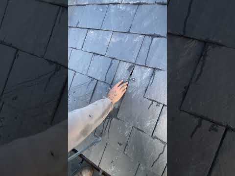 changing roof slate 🎣  #roofing #construction #diy #shorts